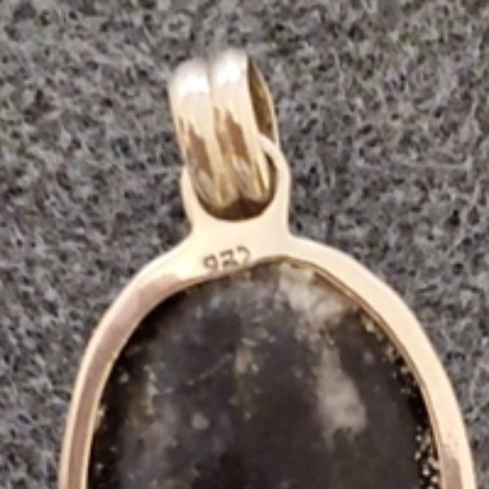 Unique Orthoceros Fossil & Sterling Silver Pendant - Picture 3 of 6